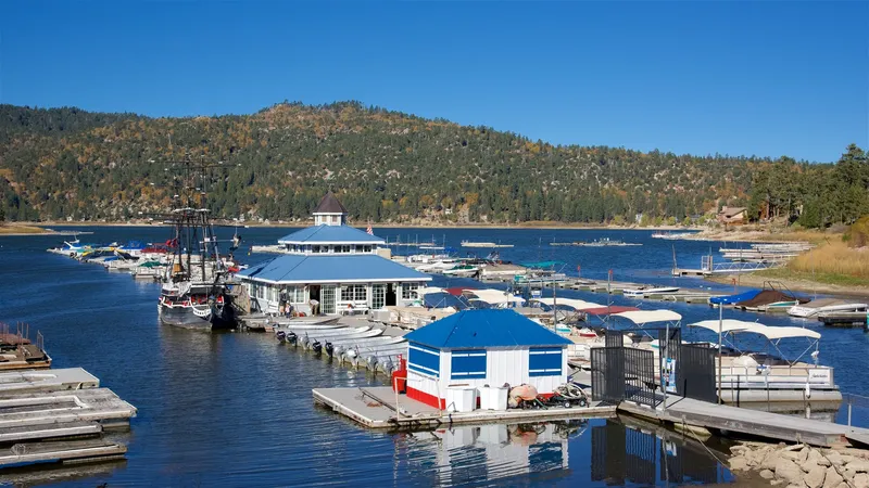 Airbnb occupancy in Big Bear