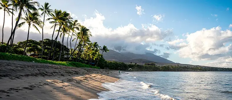 Airbnb occupancy in Lahaina