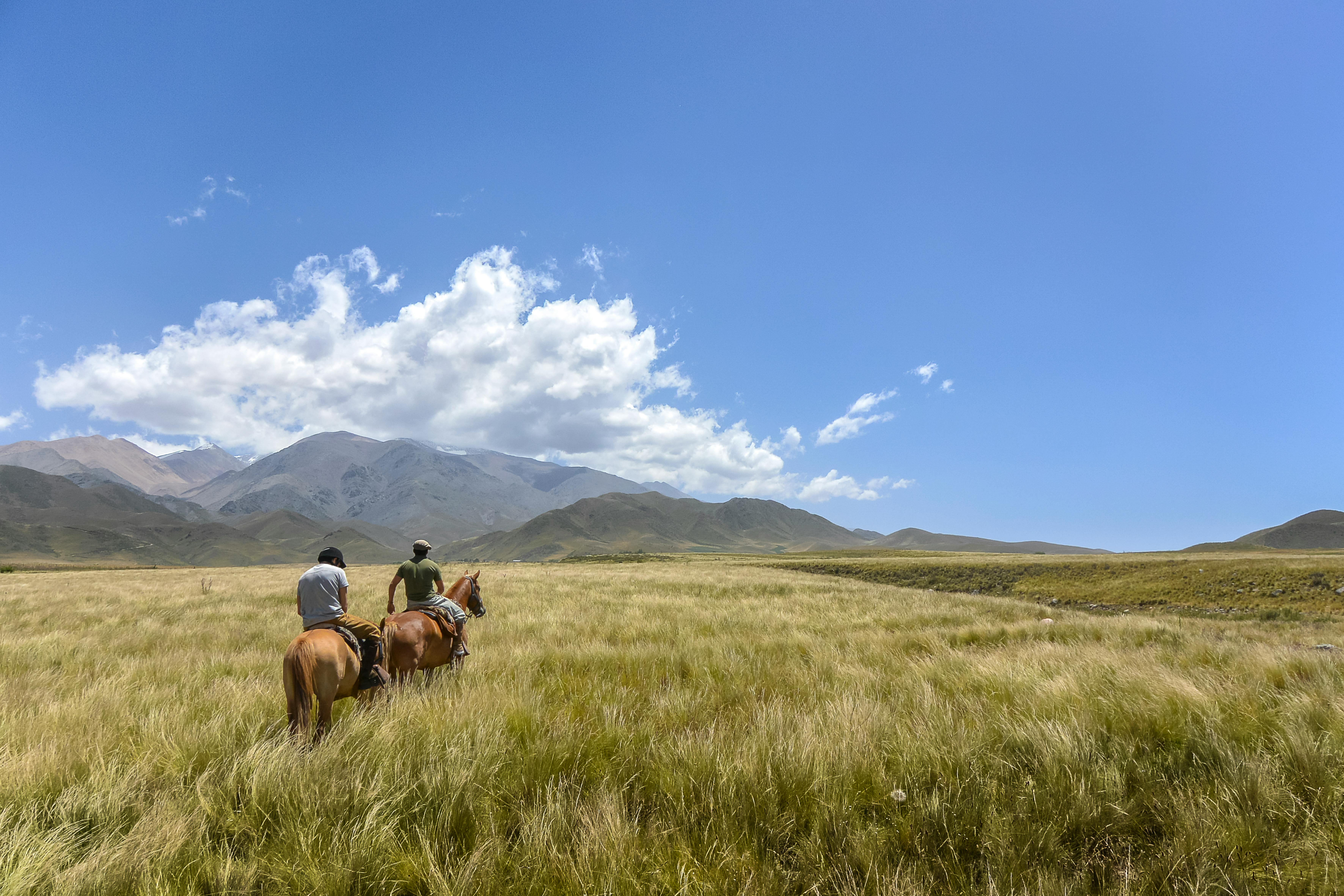 Airbnb occupancy in Luján de Cuyo