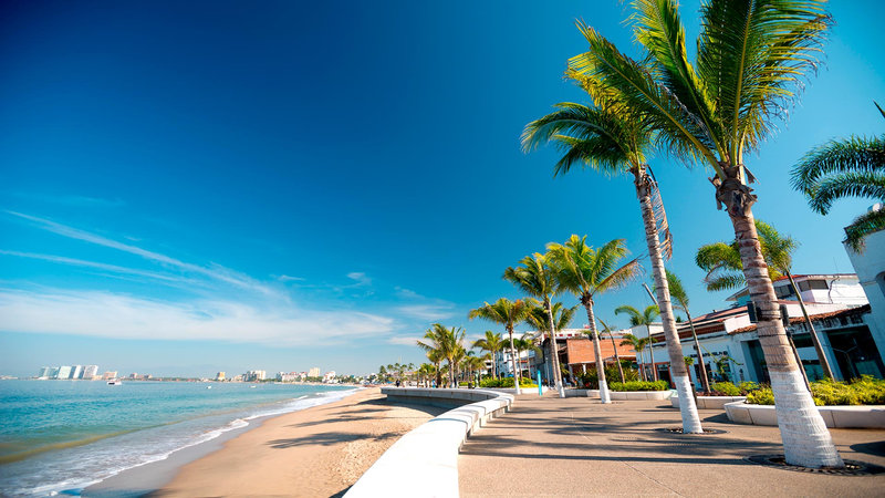 Airbnb occupancy in Puerto Vallarta