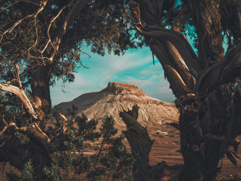 Airbnb occupancy in Sidi Allal el Bahraoui